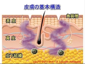 経皮毒6.jpg